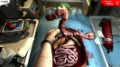 Náhled k programu Surgeon Simulator